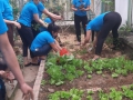 CHÀO MỪNG NGÀY 8/3